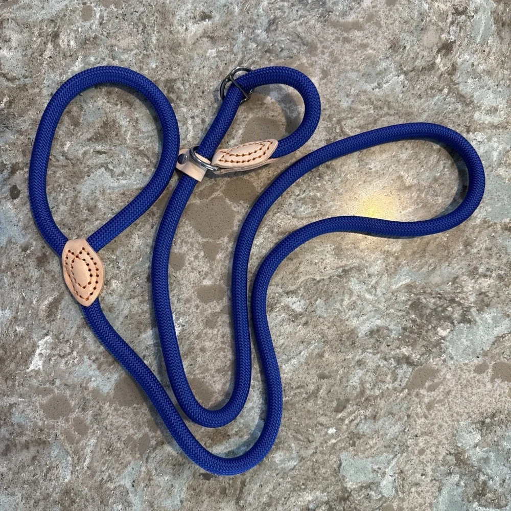 5' Nylon Leather Slip Lead Dog Leash Royal‎ Blue Dog Training Walking Exercise